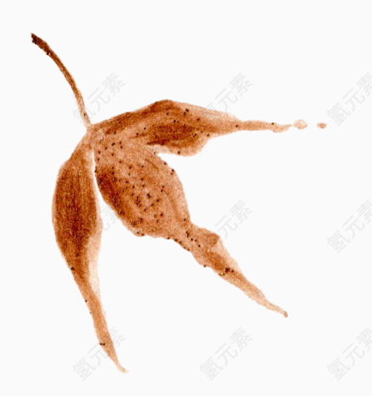 植物水彩画