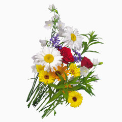 精美漂亮花束PNG免抠图素材