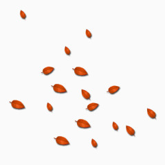 落叶枫叶PNG免抠图素材