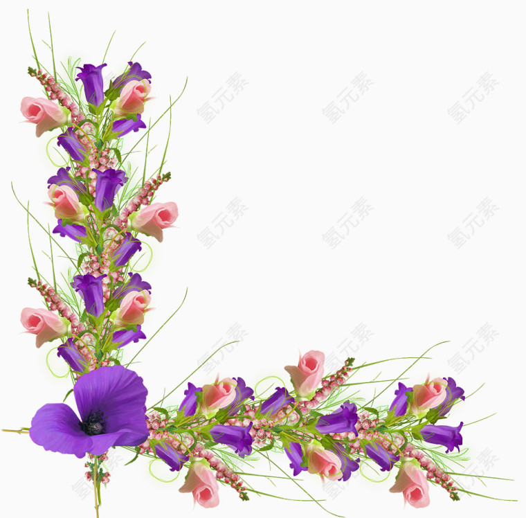 花边紫色