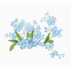 手绘鲜花免抠图