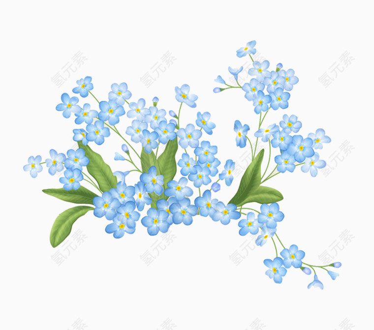 手绘鲜花免抠图