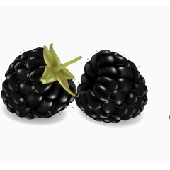 精美水果卡通手绘