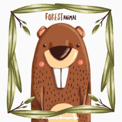 树叶框鼹鼠图片素材