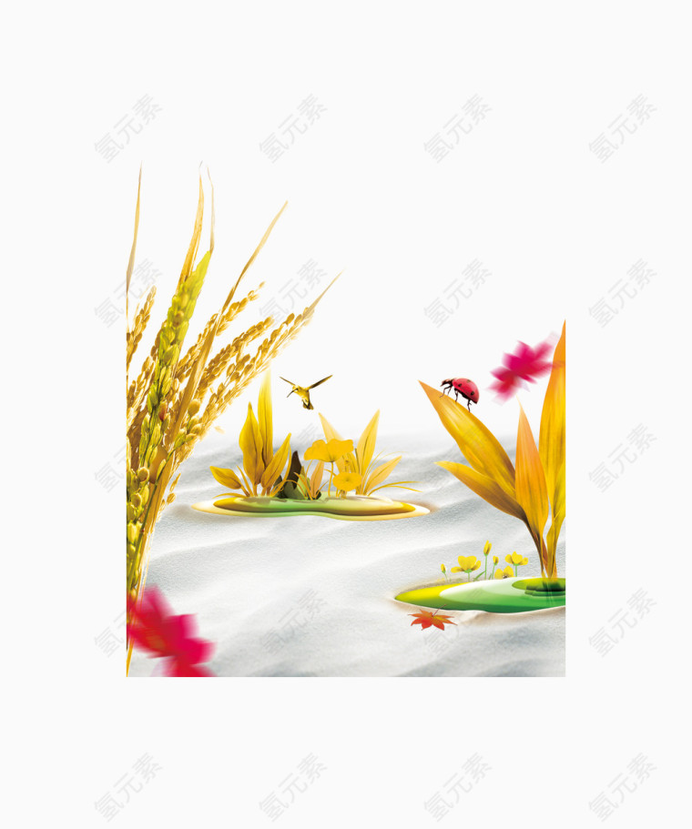 一把稻穗