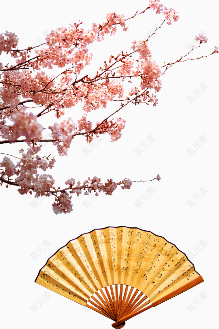 树枝花朵