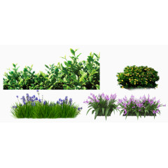 绿色草丛花素材