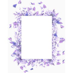 手绘蝴蝶花束边框