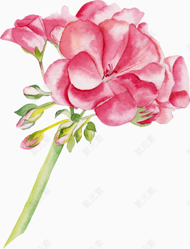 彩绘花卉