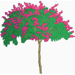 开满大树的鲜花