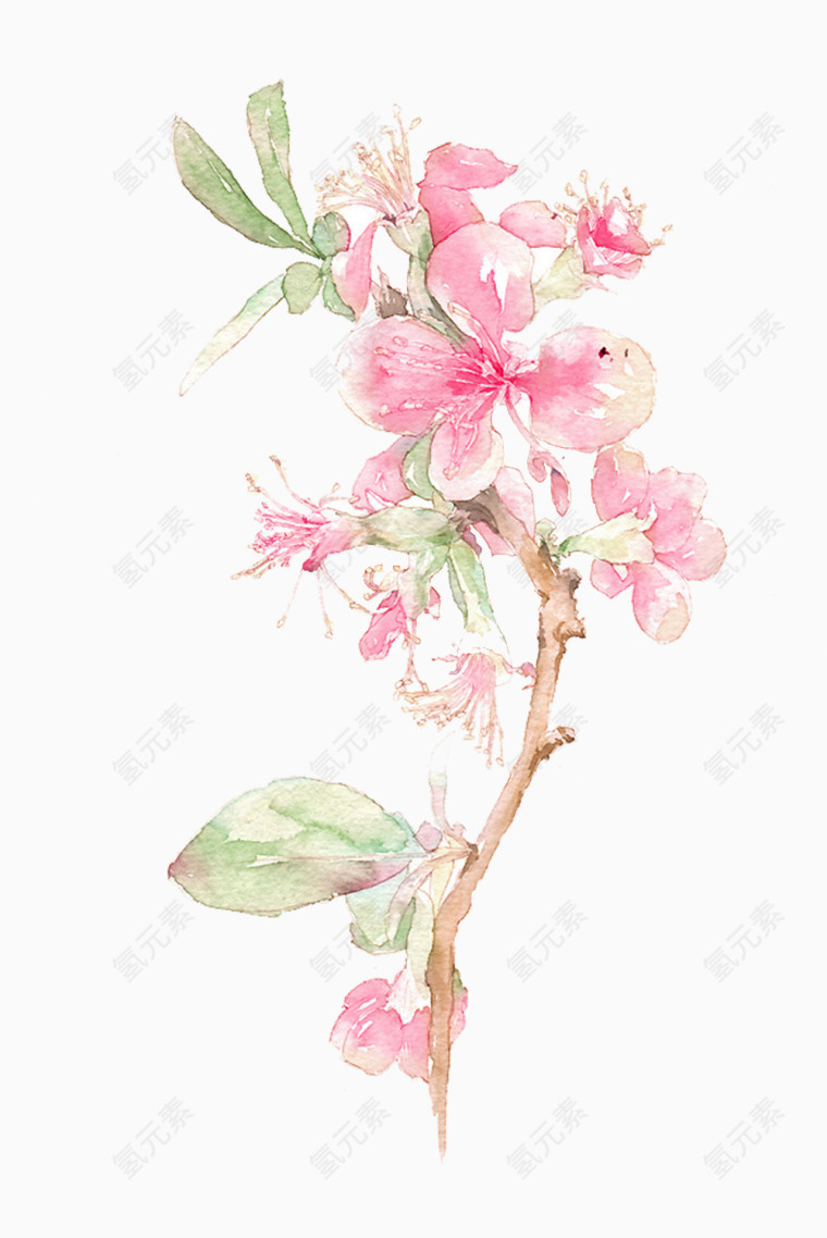 粉色鲜花