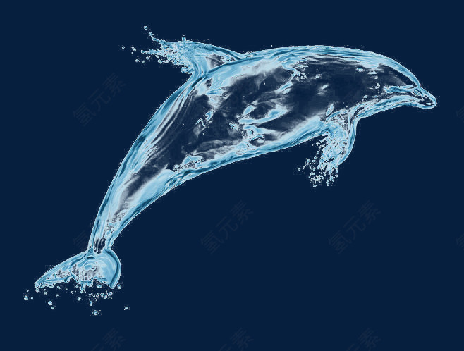 水特效海豚