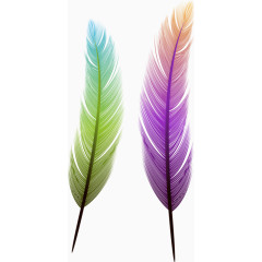 彩色羽毛