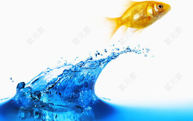 飞越海水的鱼效果