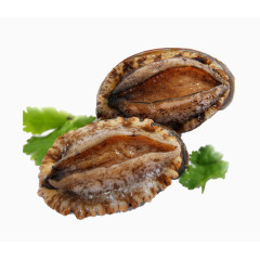 深海野生鲜冻鲍鱼