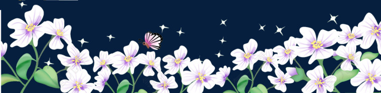 白色花朵蝴蝶