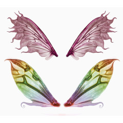 蝴蝶的翅膀PNG素材