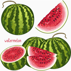 水彩西瓜设计矢量