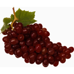 食物卡通水果图片素材