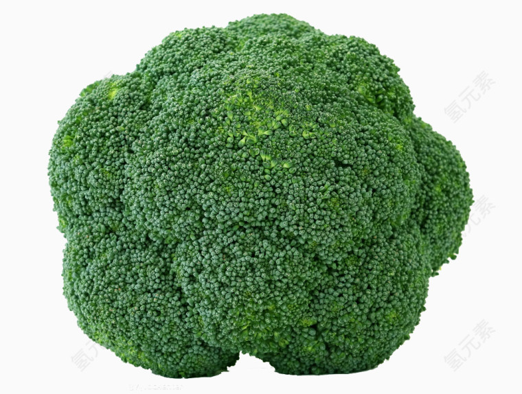 新鲜蔬果 西兰花