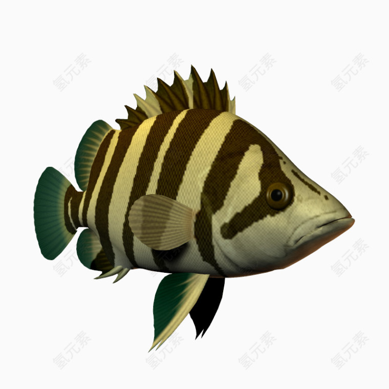 海洋生物鱼条纹卡通