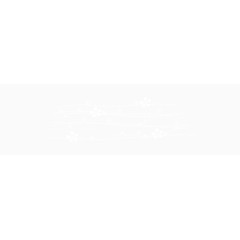 时尚创意线条曲线花