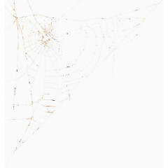 卡通图片蜘蛛网图案