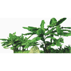 鲜花海报背景花朵图片