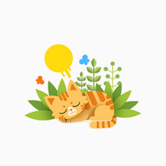 阳光下的小猫咪