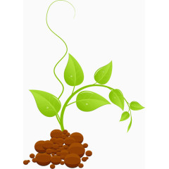 生长中的绿色植物矢量素材