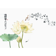 水墨清明佳节文字白色荷花