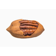 干果图片坚果手绘图  精美坚果核桃