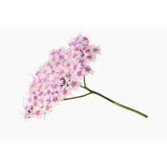 装饰图标手绘