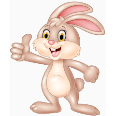 开心的兔子