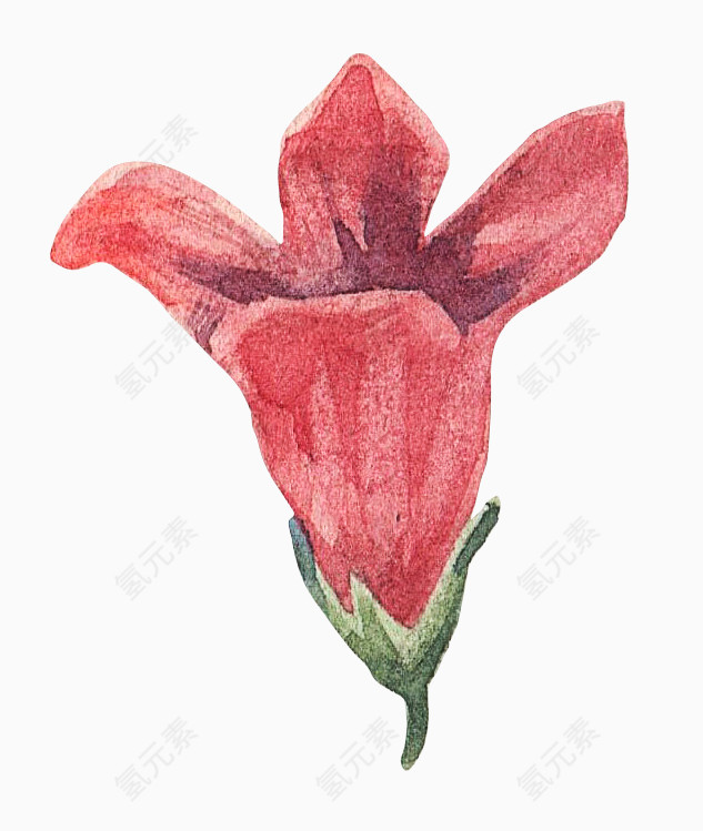 水彩花瓣装饰