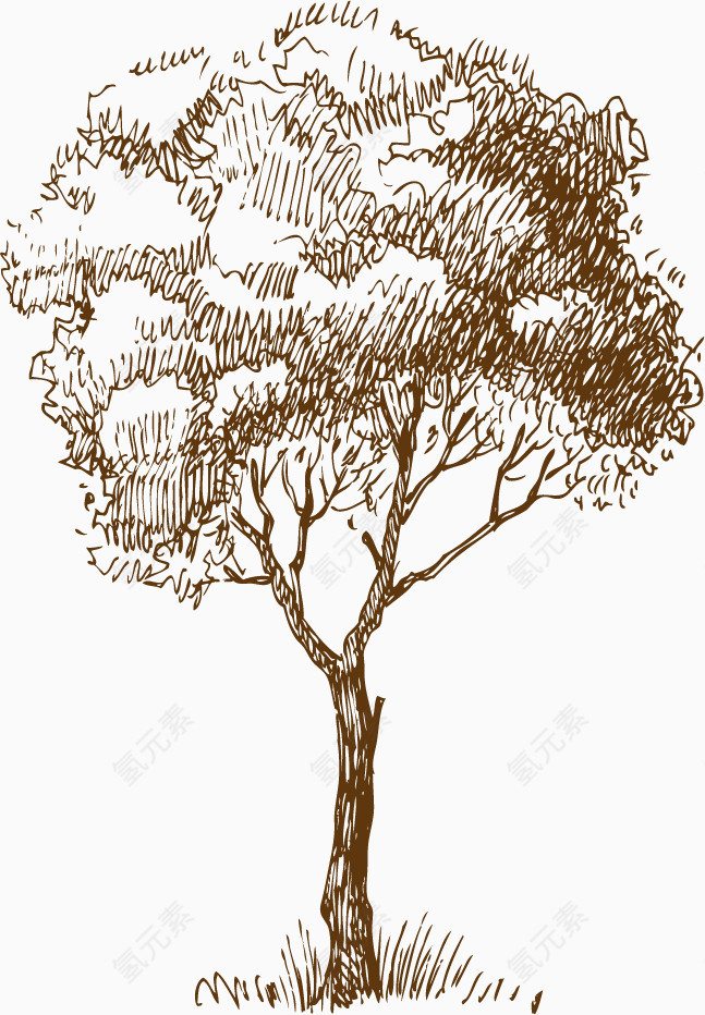 素描的木头树木