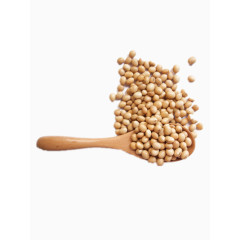 黄豆