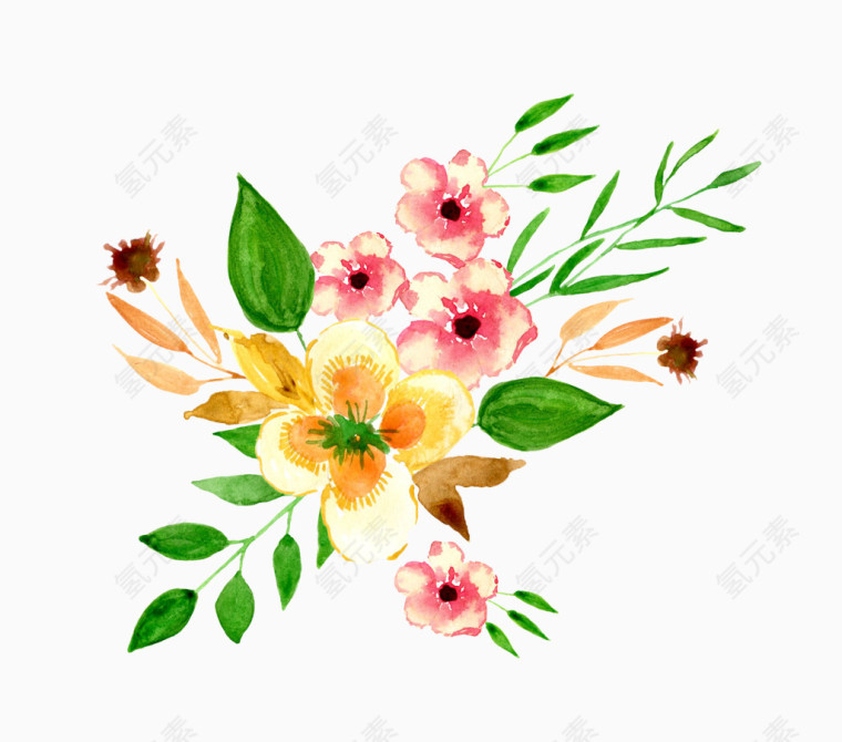 植物水彩画