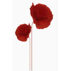 花卉图片植物花草素材