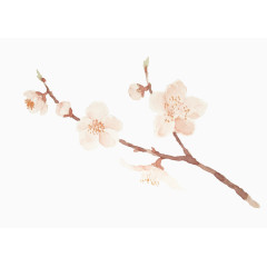 清新日系水彩樱花