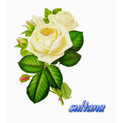 装饰卡通田园风风格