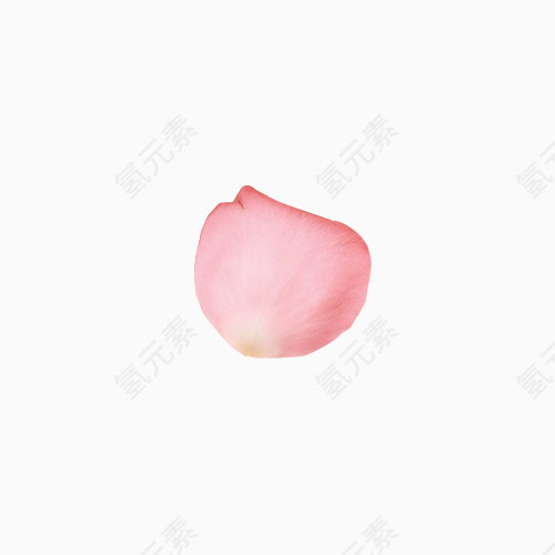 粉色花瓣