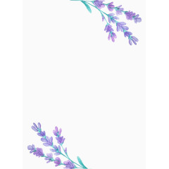 手绘薰衣草