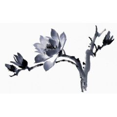 水墨画迎春花