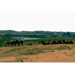 宁夏水洞沟古人类文化遗址十三