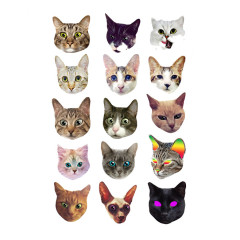 各种宠物的猫头