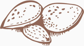 棕色卡通干果