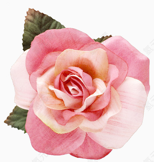 装饰图标植物花卉素材