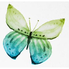  卡通水彩蝴蝶