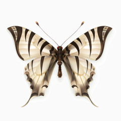 卡通灰色线条花蝴蝶